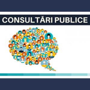 Consultare publică