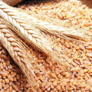 Agenția Rezerve Materiale anunță concurs pentru selectarea  beneficiarilor de grâu alimentar din rezervele de stat