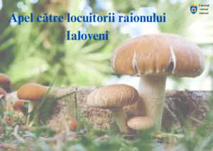 Consiliul raional Ialoveni vine cu un apel către locuitorii raionului privind riscul procurării și utilizării ciupercilor din locuri neautorizate