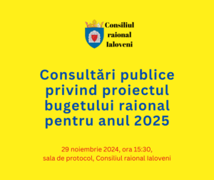 Consultări publice privind proiectul bugetului raional pentru anul 2025