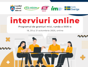 Primele 16 de echipe aplicante la concursul de granturi mici runda a XXXI-a au susținut proba interviului