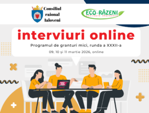Cele 60 de echipe, participante la Concursul de granturi mici pentru tineri, runda a XXXII-a sunt invitate la etapa interviului