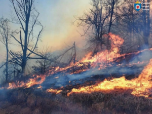 Consiliul raional Ialoveni avertizează asupra riscului sporit de incendii de vegetație și face apel la responsabilitate