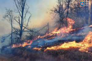 Consiliul raional Ialoveni avertizează asupra riscului sporit de incendii de vegetație și face apel la responsabilitate