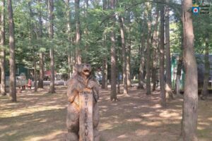 Primii 100 de copii din raionul Ialoveni au început vacanța la Tabăra de odihnă „Zâmbetul” din Vadul lui Vodă