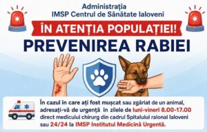 Măsuri de prevenire a rabiei. Recomandări pentru siguranța locuitorilor raionului Ialoveni